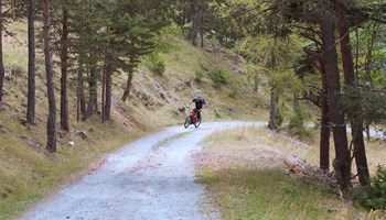 Exploring the Ru in Valpelline